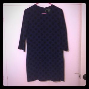 C Wonder 100% Silk Dress